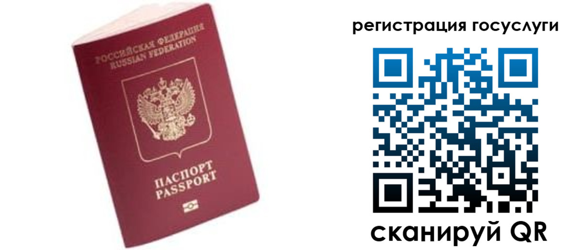 прописка поиск в Старой Руссе